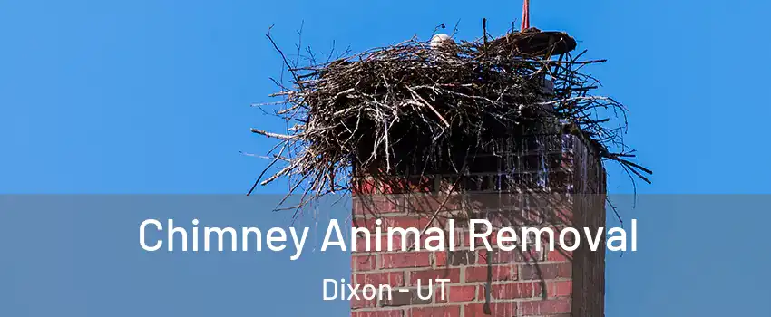 Chimney Animal Removal Dixon - UT