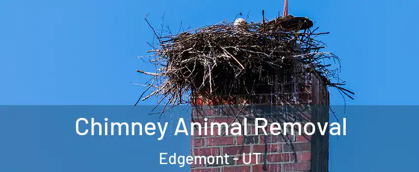 Chimney Animal Removal Edgemont - UT