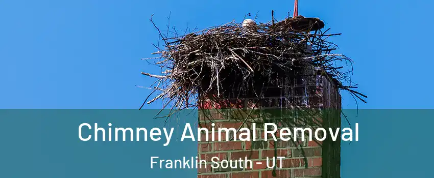 Chimney Animal Removal Franklin South - UT