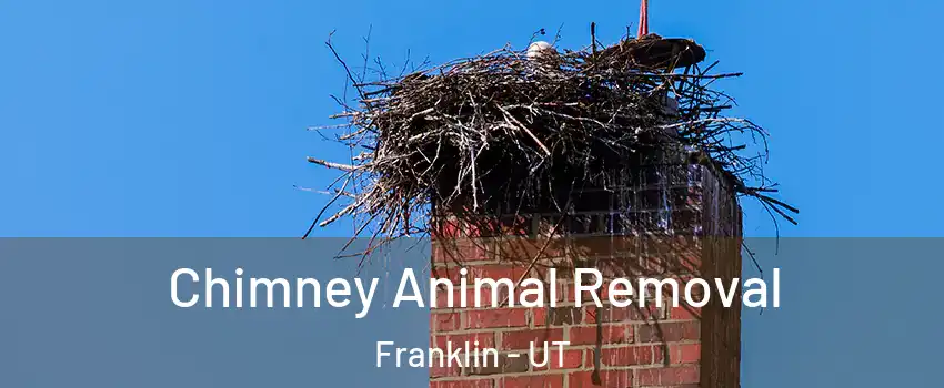 Chimney Animal Removal Franklin - UT
