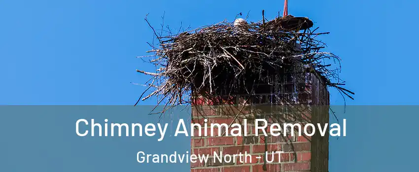 Chimney Animal Removal Grandview North - UT