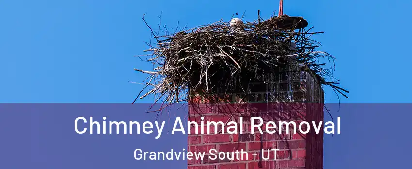 Chimney Animal Removal Grandview South - UT