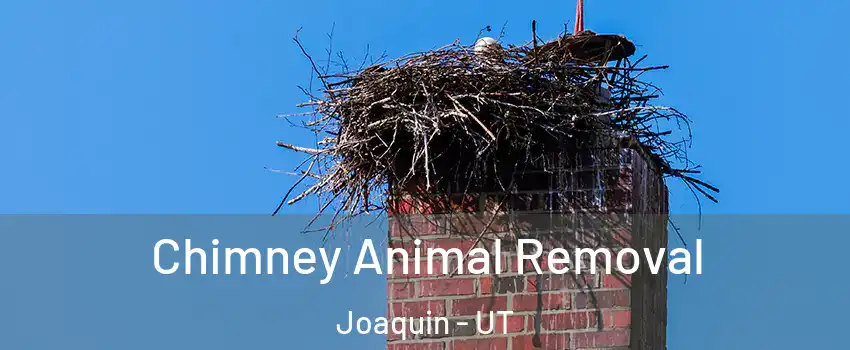 Chimney Animal Removal Joaquin - UT