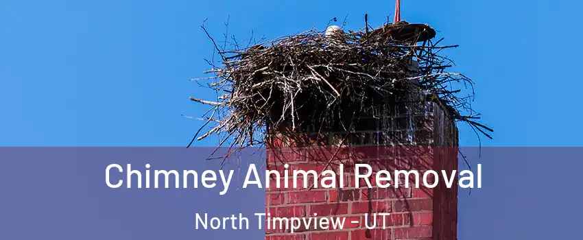 Chimney Animal Removal North Timpview - UT