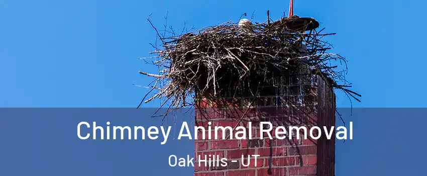 Chimney Animal Removal Oak Hills - UT