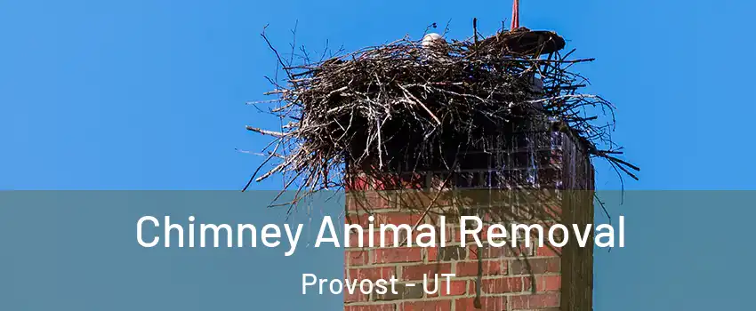 Chimney Animal Removal Provost - UT