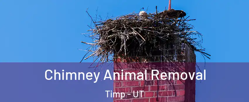Chimney Animal Removal Timp - UT