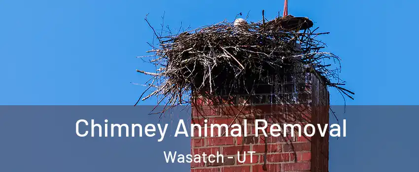 Chimney Animal Removal Wasatch - UT
