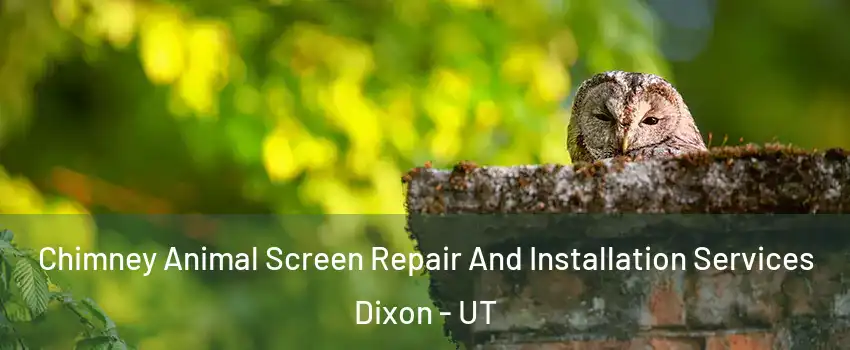Chimney Animal Screen Repair And Installation Services Dixon - UT