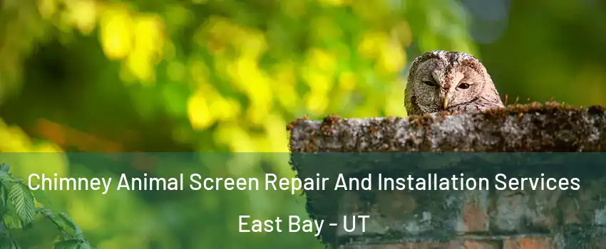 Chimney Animal Screen Repair And Installation Services East Bay - UT