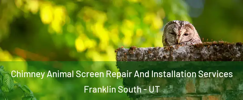 Chimney Animal Screen Repair And Installation Services Franklin South - UT