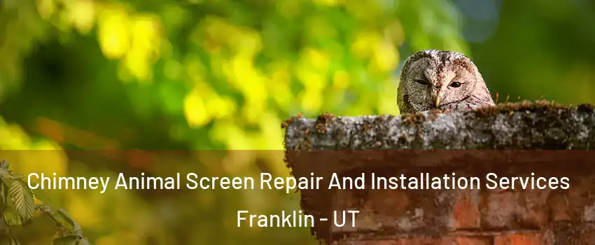 Chimney Animal Screen Repair And Installation Services Franklin - UT