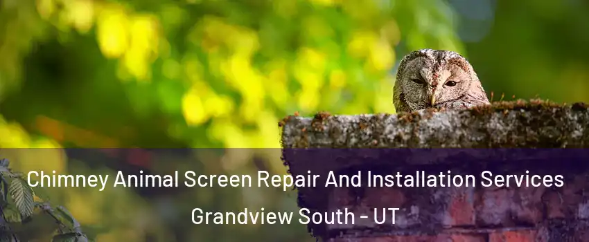 Chimney Animal Screen Repair And Installation Services Grandview South - UT