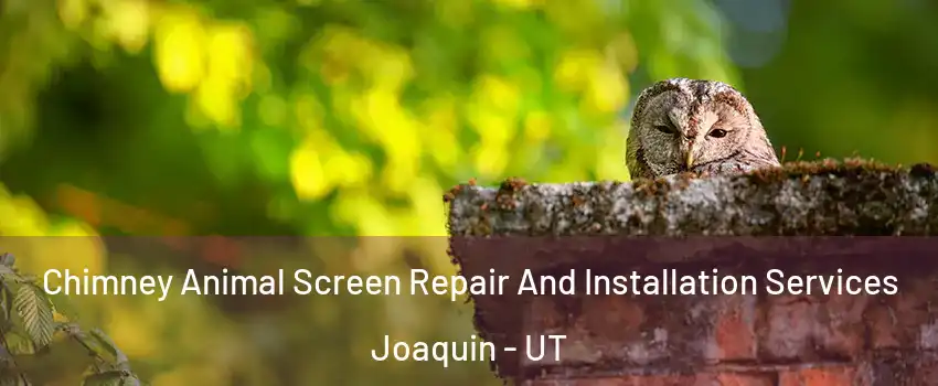 Chimney Animal Screen Repair And Installation Services Joaquin - UT