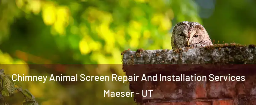 Chimney Animal Screen Repair And Installation Services Maeser - UT