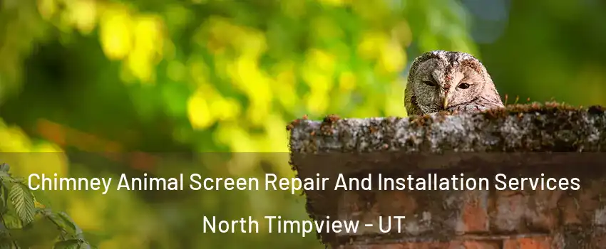 Chimney Animal Screen Repair And Installation Services North Timpview - UT