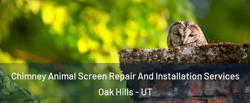 Chimney Animal Screen Repair And Installation Services Oak Hills - UT
