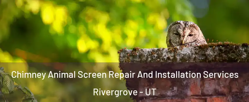 Chimney Animal Screen Repair And Installation Services Rivergrove - UT