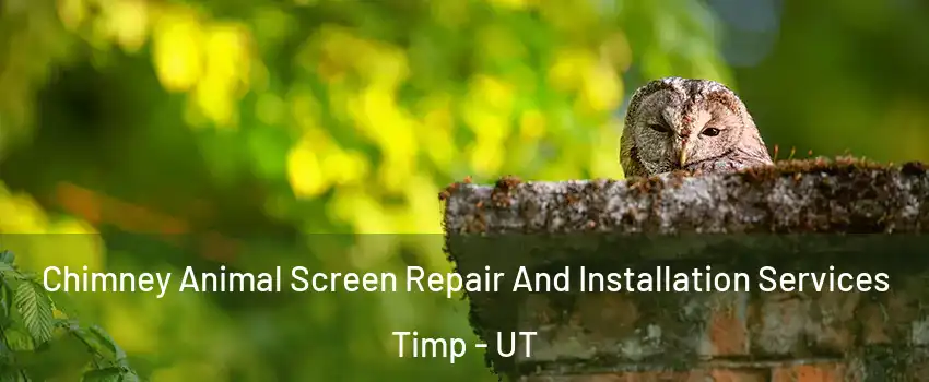 Chimney Animal Screen Repair And Installation Services Timp - UT