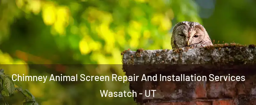 Chimney Animal Screen Repair And Installation Services Wasatch - UT