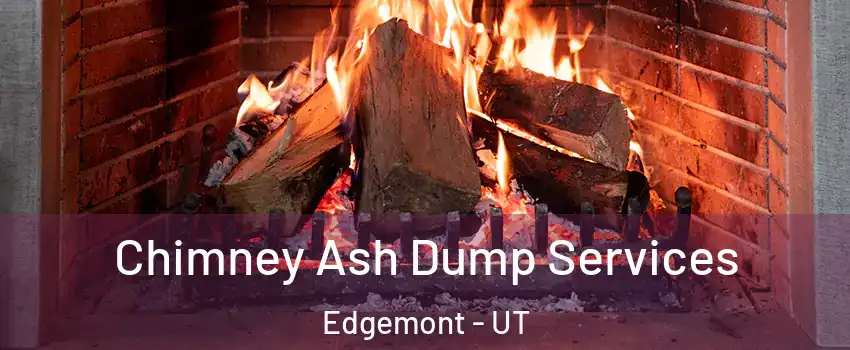 Chimney Ash Dump Services Edgemont - UT