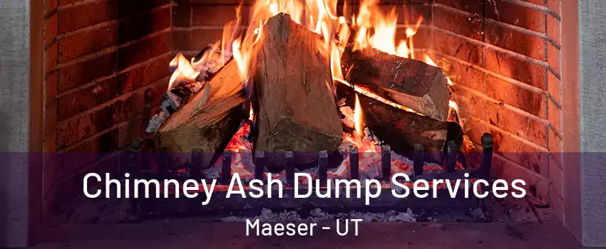 Chimney Ash Dump Services Maeser - UT