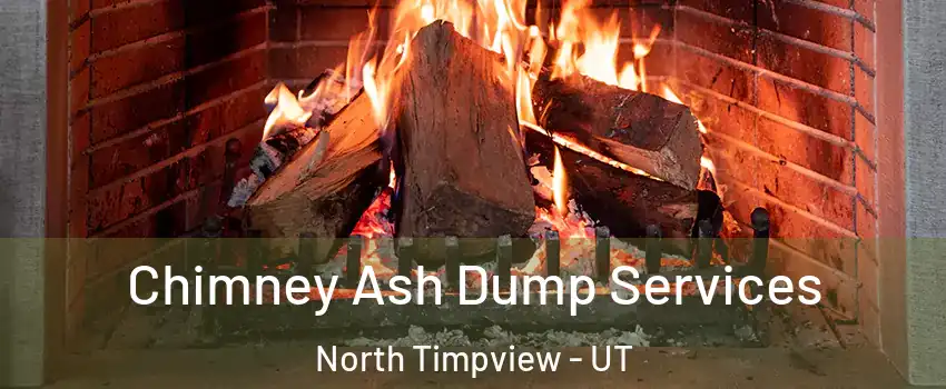 Chimney Ash Dump Services North Timpview - UT