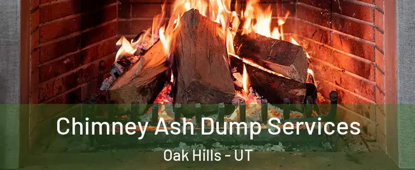 Chimney Ash Dump Services Oak Hills - UT