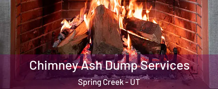 Chimney Ash Dump Services Spring Creek - UT