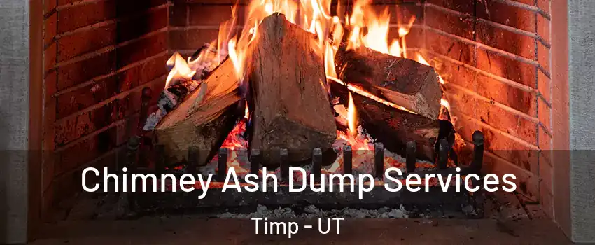 Chimney Ash Dump Services Timp - UT