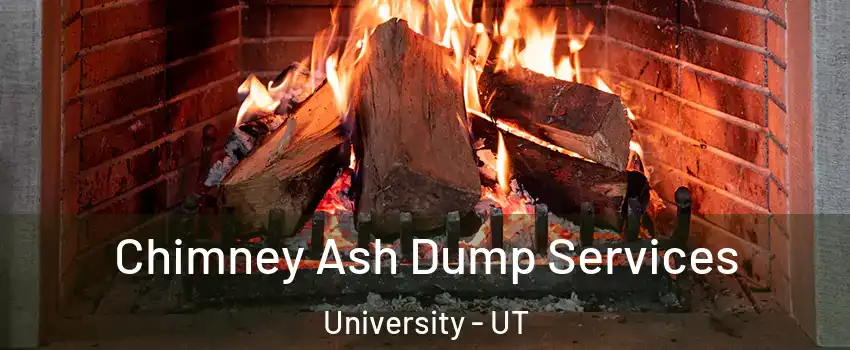 Chimney Ash Dump Services University - UT
