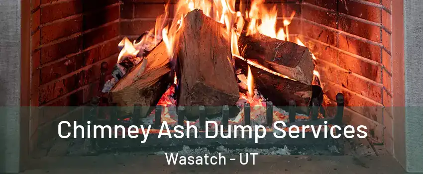 Chimney Ash Dump Services Wasatch - UT