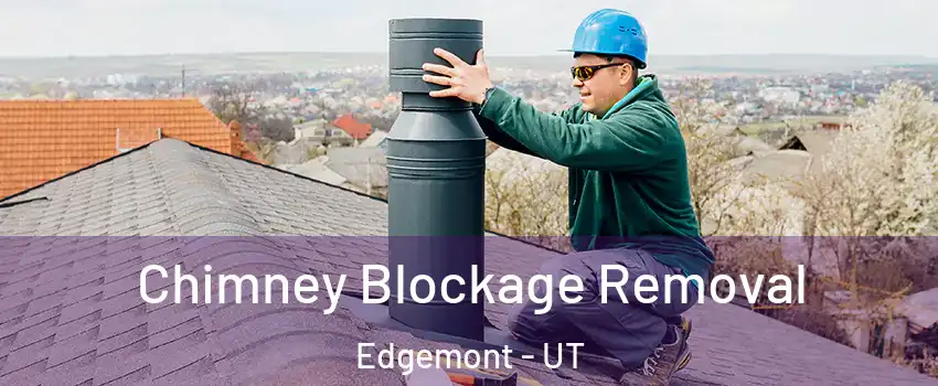 Chimney Blockage Removal Edgemont - UT