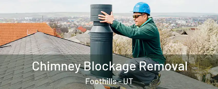 Chimney Blockage Removal Foothills - UT