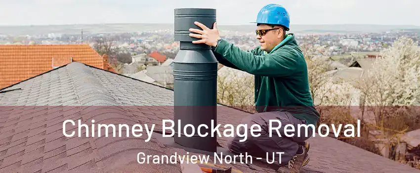 Chimney Blockage Removal Grandview North - UT