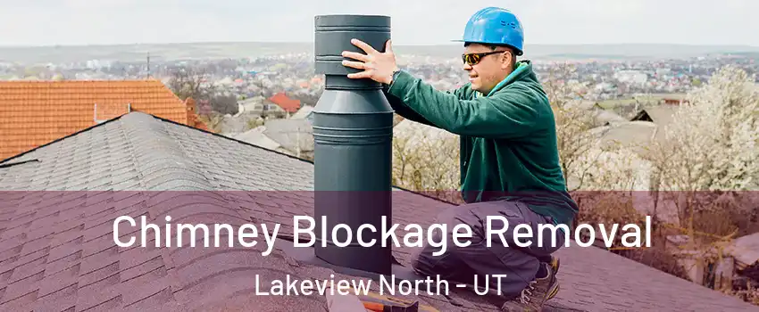 Chimney Blockage Removal Lakeview North - UT
