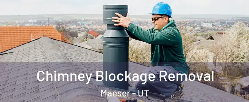 Chimney Blockage Removal Maeser - UT