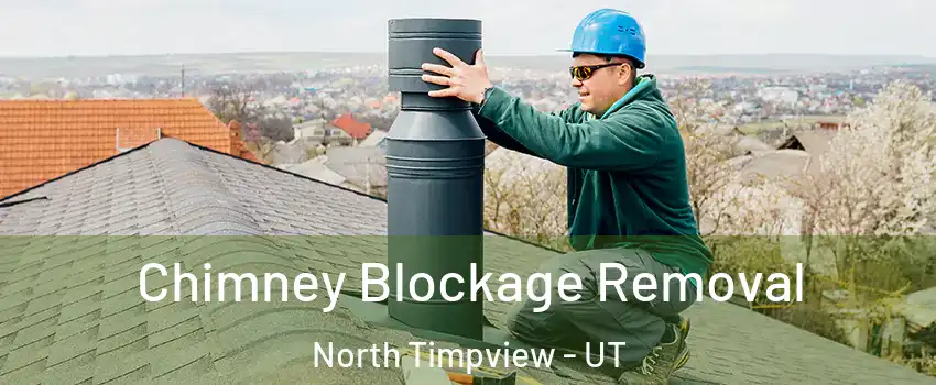 Chimney Blockage Removal North Timpview - UT
