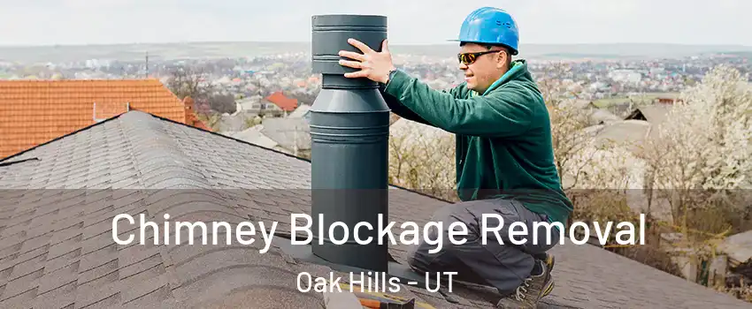 Chimney Blockage Removal Oak Hills - UT