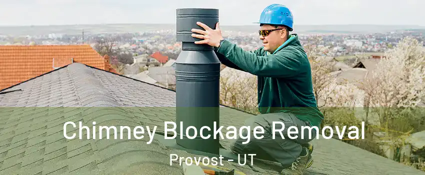 Chimney Blockage Removal Provost - UT