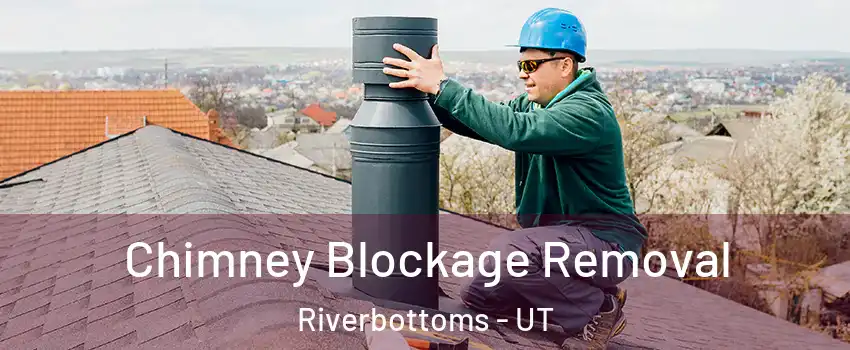 Chimney Blockage Removal Riverbottoms - UT