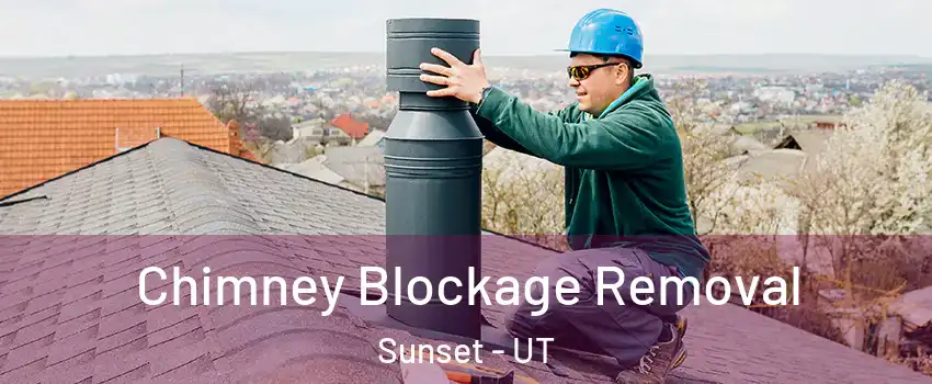 Chimney Blockage Removal Sunset - UT