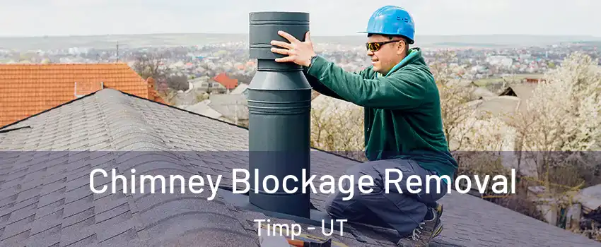 Chimney Blockage Removal Timp - UT