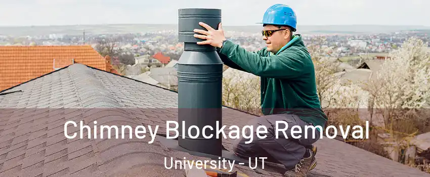 Chimney Blockage Removal University - UT