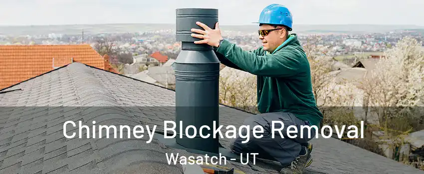 Chimney Blockage Removal Wasatch - UT