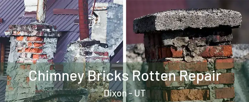 Chimney Bricks Rotten Repair Dixon - UT