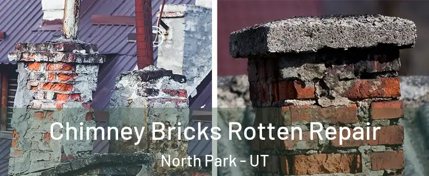 Chimney Bricks Rotten Repair North Park - UT
