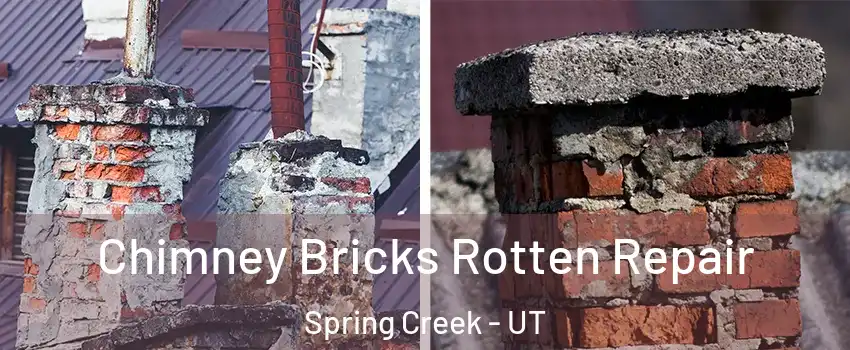 Chimney Bricks Rotten Repair Spring Creek - UT
