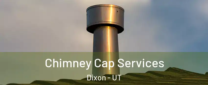 Chimney Cap Services Dixon - UT