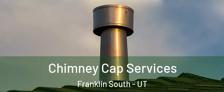 Chimney Cap Services Franklin South - UT